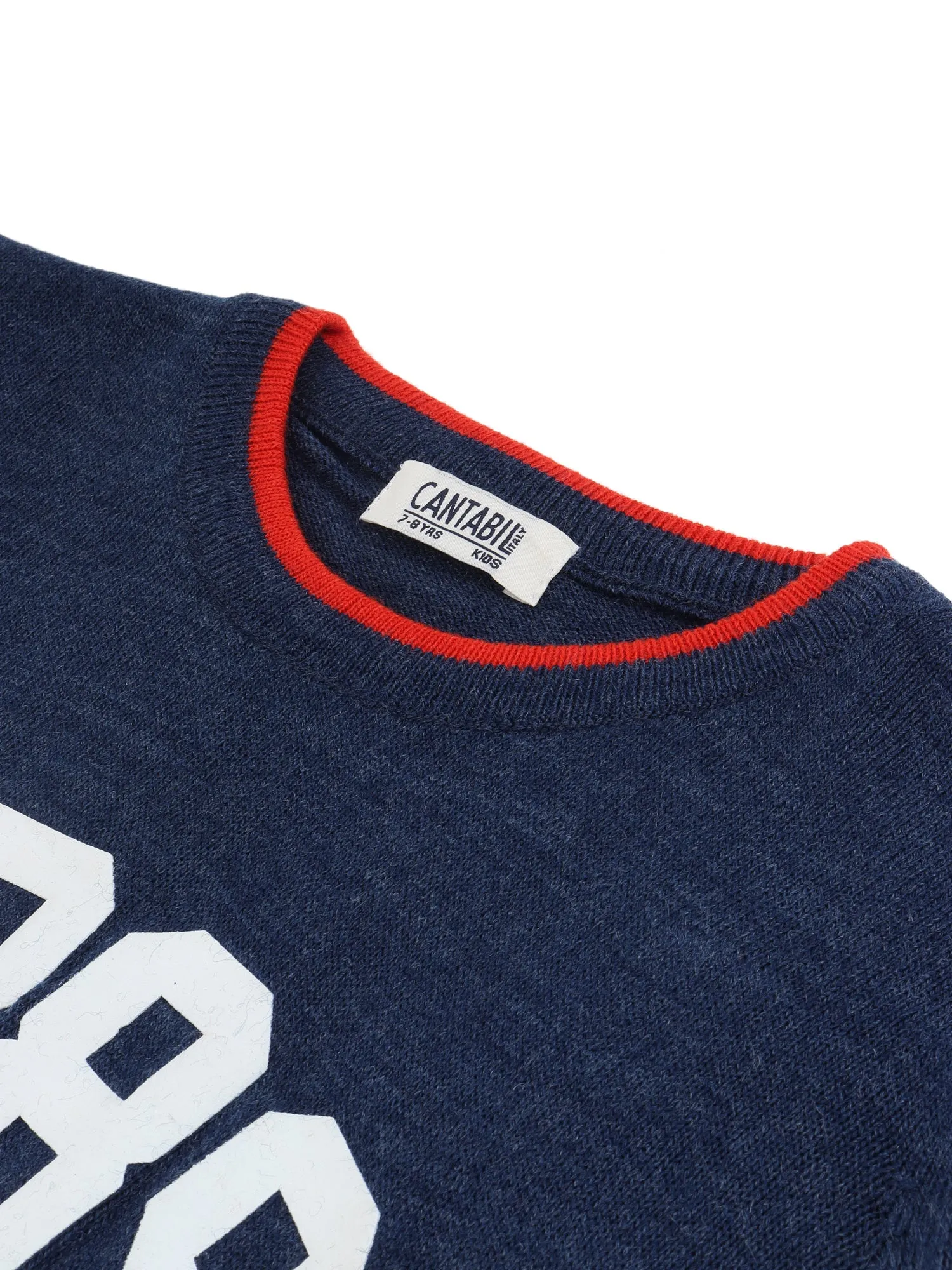 Cantabil Boys Blue Sweater