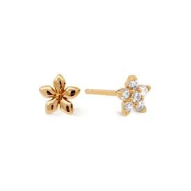 Gold Harley Studs