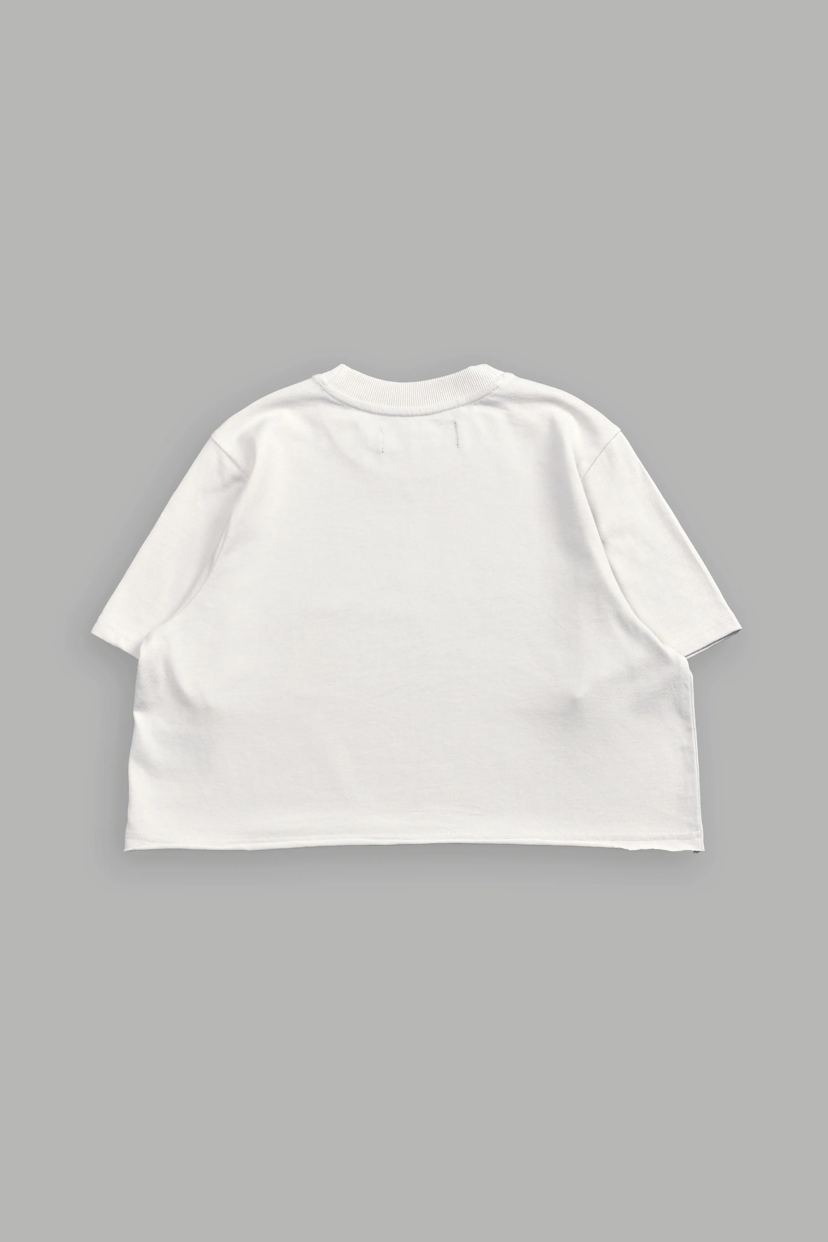 Pyramid V2 "Premium" (Cropped) Tee in Stone